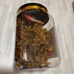 ほたて貝ひもの画像