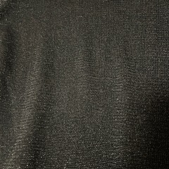 黒ラメTシャツの画像