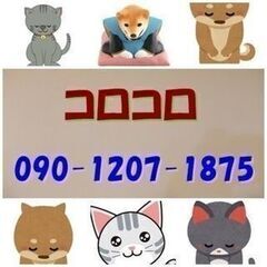 ジョワイユ３２型テレビ売りますの画像