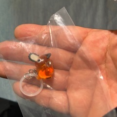 つながリングチャームポチタ
の画像