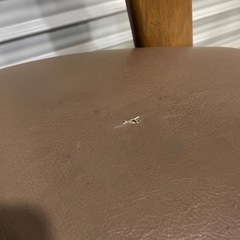 こたつ椅子 回転椅子 座椅子 高座椅子の画像