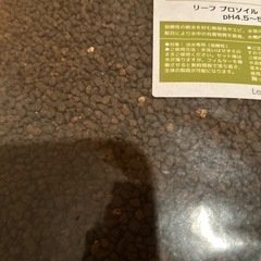 リーフプロソイル　pHダウンの画像