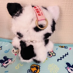 babythree ベビースリー 犬猫シリーズ 猫 の画像