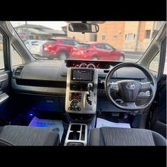 きれいな車ですの画像