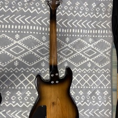 FERNANDES  APGシリーズ　改造モデルの画像