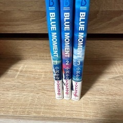 ブルーモーメントの画像