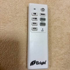 E-Bright  シーリングライト(リモコン付き)の画像