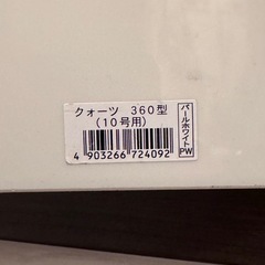 鉢　プランター　クォーツ　10号　　観葉植物の画像