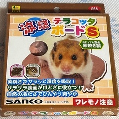 ハムスター 爪とぎ テラコッタボード