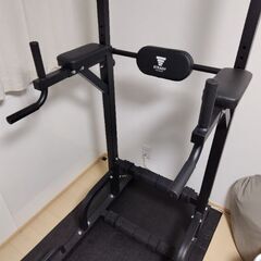 STEADY 懸垂マシンの画像