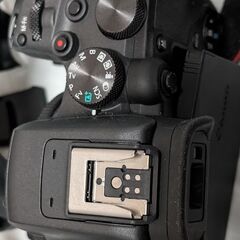 Canon R10(APS-C ミラーレス1眼）を売りますの画像