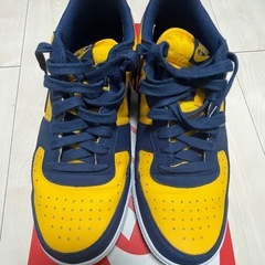 NIKE  TERMINATOR LOW OG ナイキ ダンク ハイ　の画像