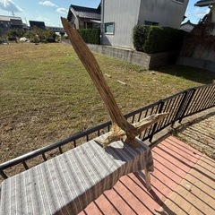 天然大型流木　アクアリウム、爬虫類の画像