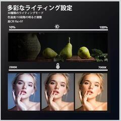 2パック撮影用ライト　LEDビデオライト　写真スタジオ撮影　YouTubeの画像