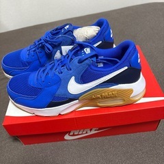 新品 NIKE ナイキ AIR MAX EXCEE 26 cmの画像
