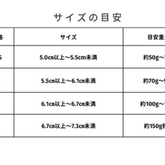 【ご家庭用】小原紅早生みかん 約5kg  2S〜Lサイズ混合の画像