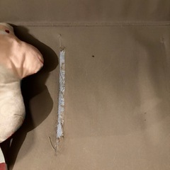 アウトドアベンチの画像