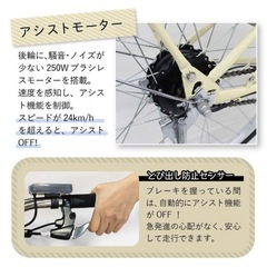 フィールドチャンプ電動アシスト自転車26インチ　充電器付の画像