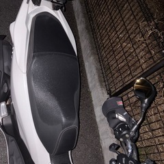 ホンダPCXの画像