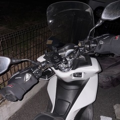 ホンダPCXの画像