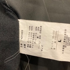 メンズウィンドブレーカージャケットLサイズの画像