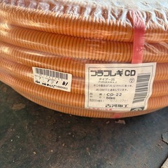 CD菅　セットの画像