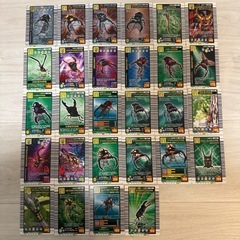 希少 甲虫王者ムシキング カード 専用ファイル 126枚 まとめ売りの画像