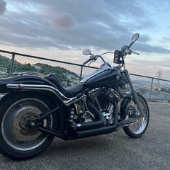 ハーレー⭐️ソフテイル⭐️tc88⭐️車検8年５月の画像