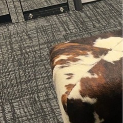 大塚家具10万ほどしたハラコオットマンキュービックスツールの画像