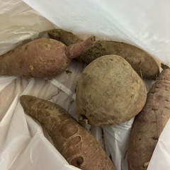 さつまいも🍠