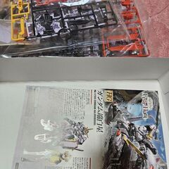 新品HGガンダム端白星の画像