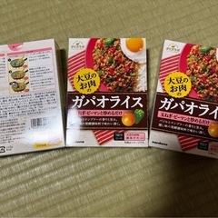 ガパオライスの素3個セット　