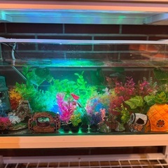 水槽装飾品色々
