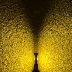 FCL  LED2色 　フォグランプ球の画像