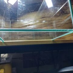 オールガラス水槽(幅45、奥20、高22)の画像