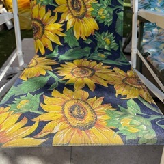 【国分寺】差し上げます！パラソル　折りたたみ座椅子　三つセット　キャンプ　　バーベキュー　差し上げます！　の画像