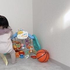 【お話中】プーメリーの画像