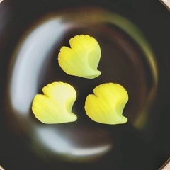 初心者向け♪ 茶道教室@文京区千石の画像