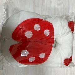 フリーマーケット出品予定品の画像