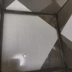 爬虫類　両生類　昆虫用 飼育　ケージ 30×30×20cm の画像