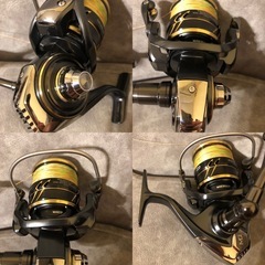   　カルディア sw8000P  ゴメクサスノブの画像