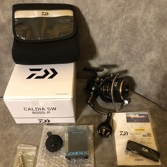   　カルディア sw8000P  ゴメクサスノブの画像