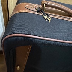 キャリーケース鍵2本付きの画像