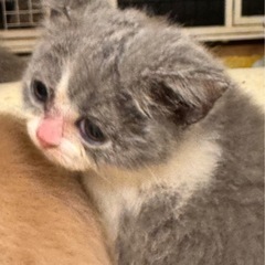 ✨2025年11月30日(日) 13時から立川すみれペット…