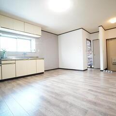 💸敷礼無料！ペット相談、南向き日当たり良好、スーパー・ドラ…