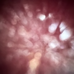 購入者決まりましたHONDAマグナめちゃくちゃカッコいいカスタムの画像