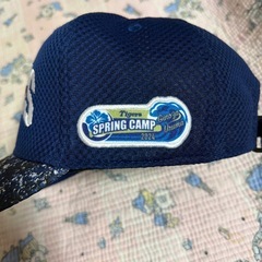 阪神タイガース　　無料❗️の画像