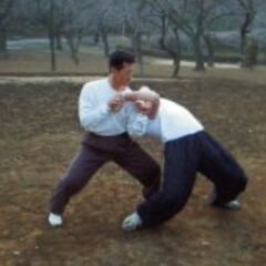 八極拳練習生募集の画像