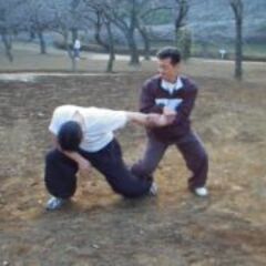 八極拳練習生募集の画像