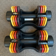 可変式ダンベルの画像